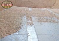 blachy perforowane do suszenia zbóż nasion